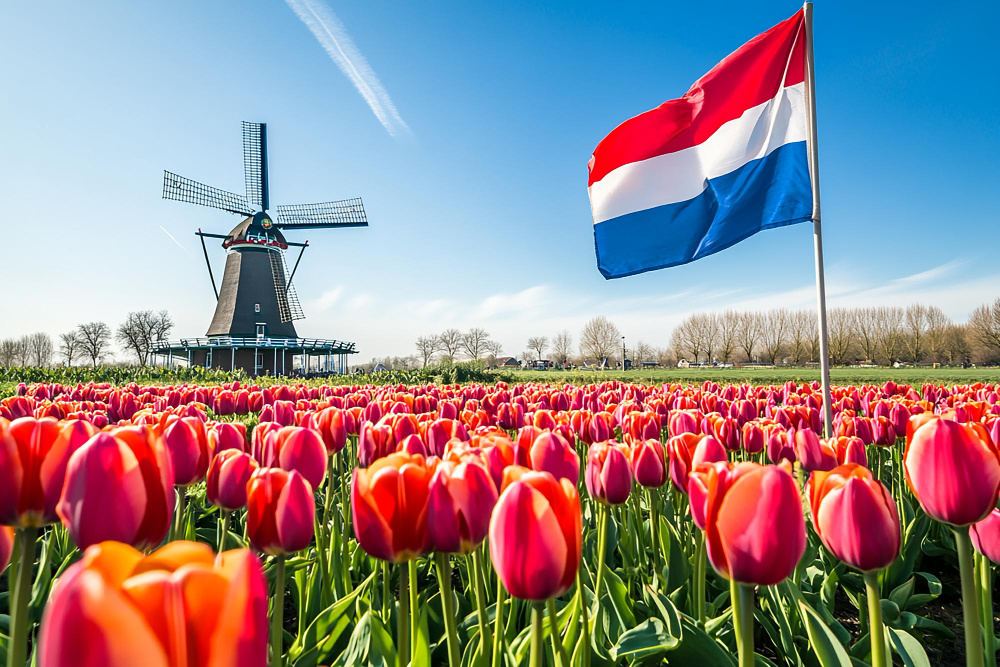 Dutch Culture Scene